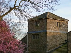 Rear elevation of The Folly viewed through trees