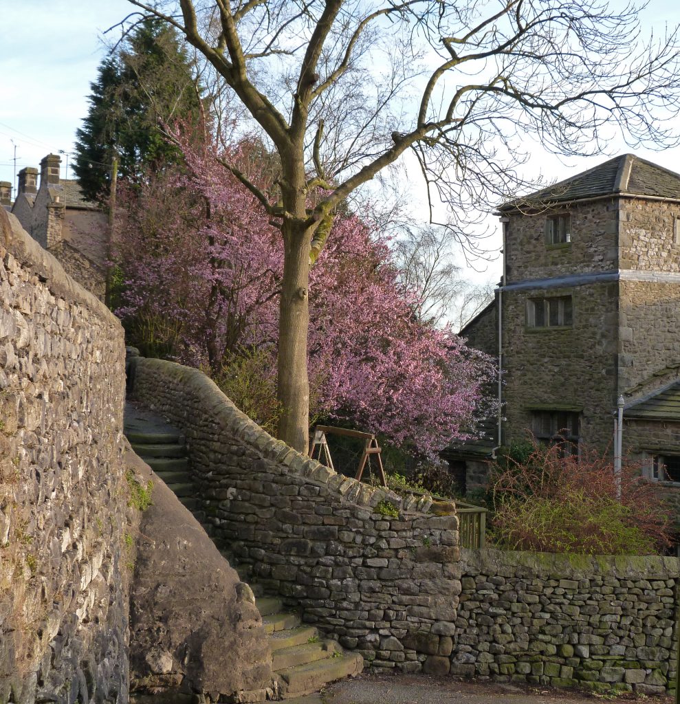 Rear of The Folly viewed from Well Hill